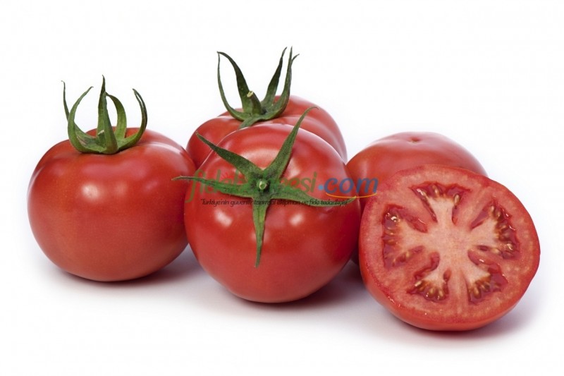 Aşılı Özkan F1 Sırık Domates Fidesi
