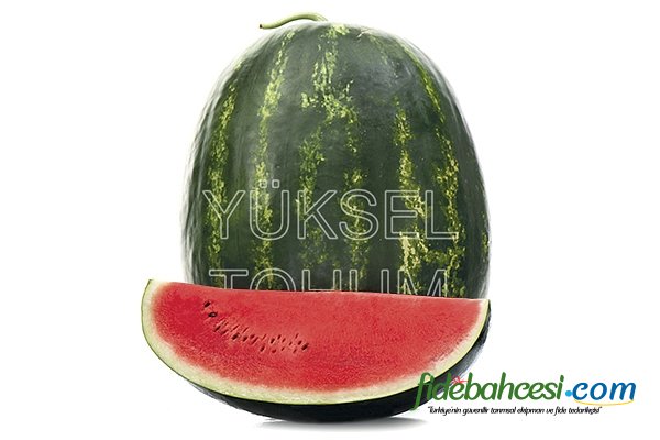 Aşılı Üstün F1 Karpuz Fidesi