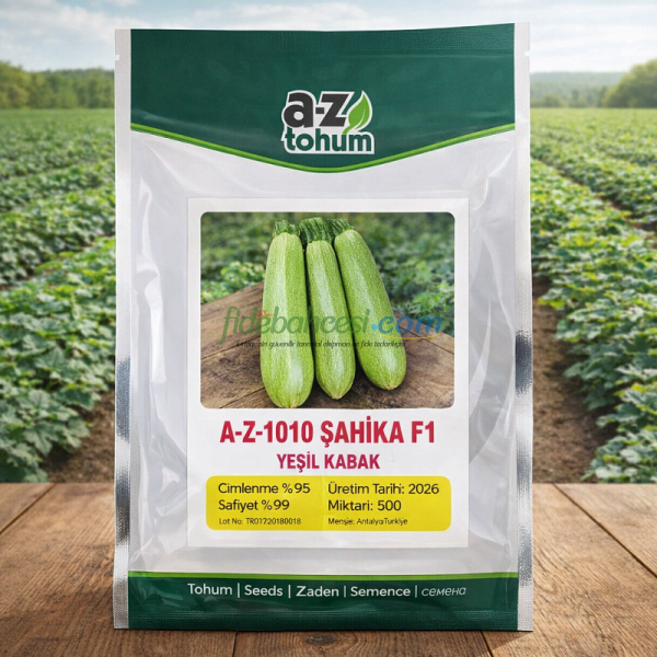 Şahika F1 Yeşil Kabak Tohumu
