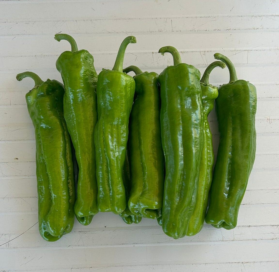 AZ 33 F1 Tatlı Üç Burun Biber Tohumu - Görsel 3