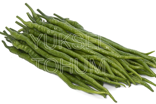 Çoban F1 Sivri Biber Fidesi