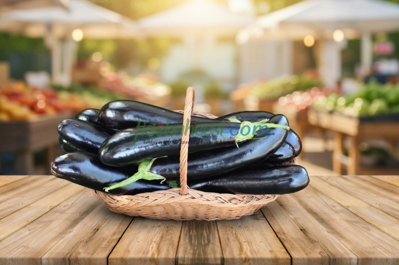 Faselis F1 Uzun Patlıcan Fidesi