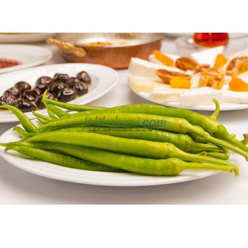 Flinta F1 Biber Fidesi - Görsel 2