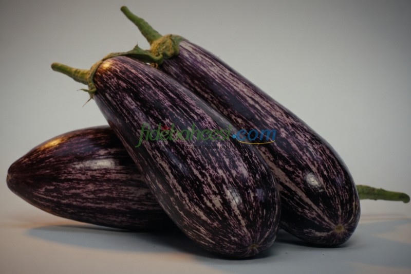 Kırçıl F1 Silindirik Patlıcan Fidesi